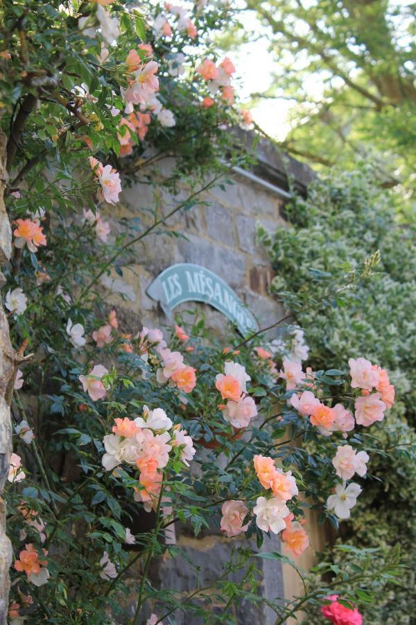 La Passiflore B&B Bossiere Екстер'єр фото