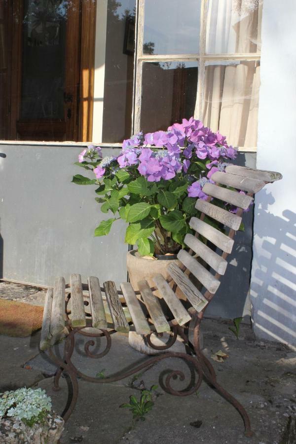 La Passiflore B&B Bossiere Екстер'єр фото